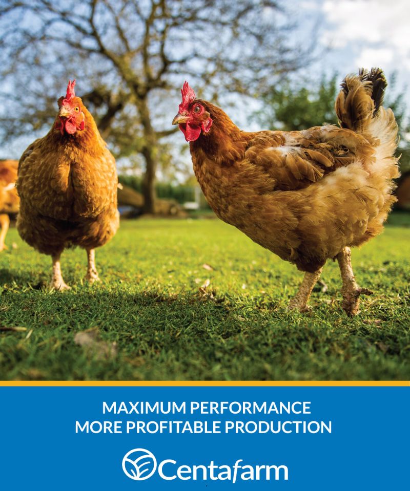 CENTAFARM POULTRY SOLUTIONS