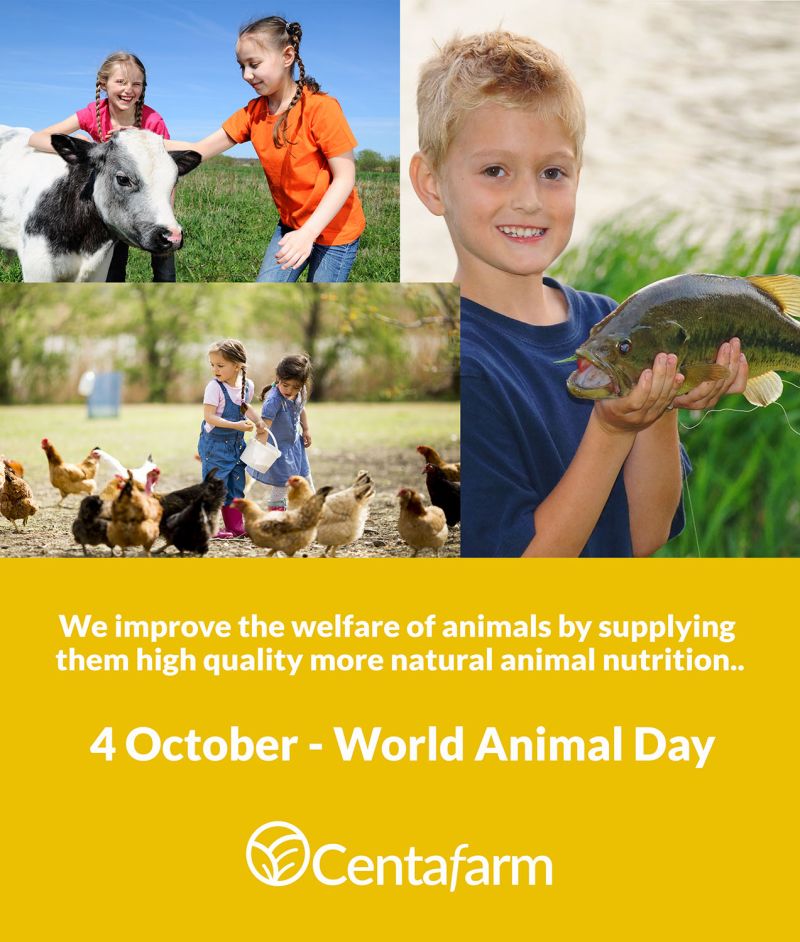 worldanimalday