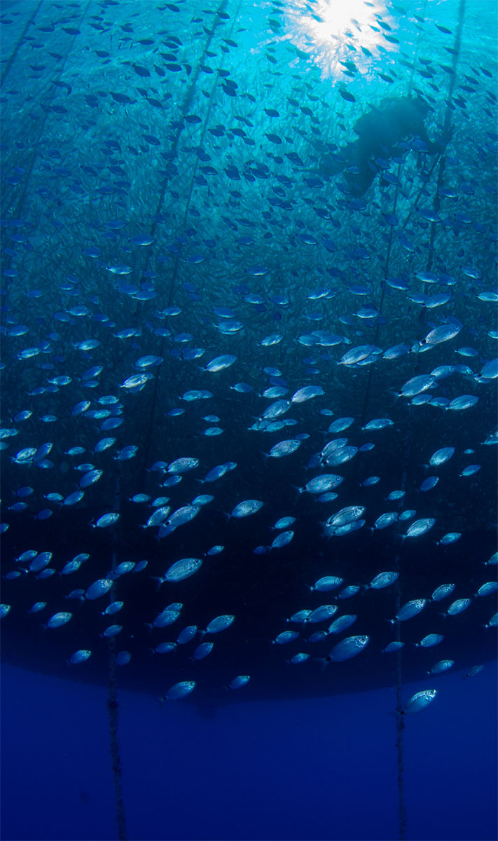 Take the video tour on the ZOO!