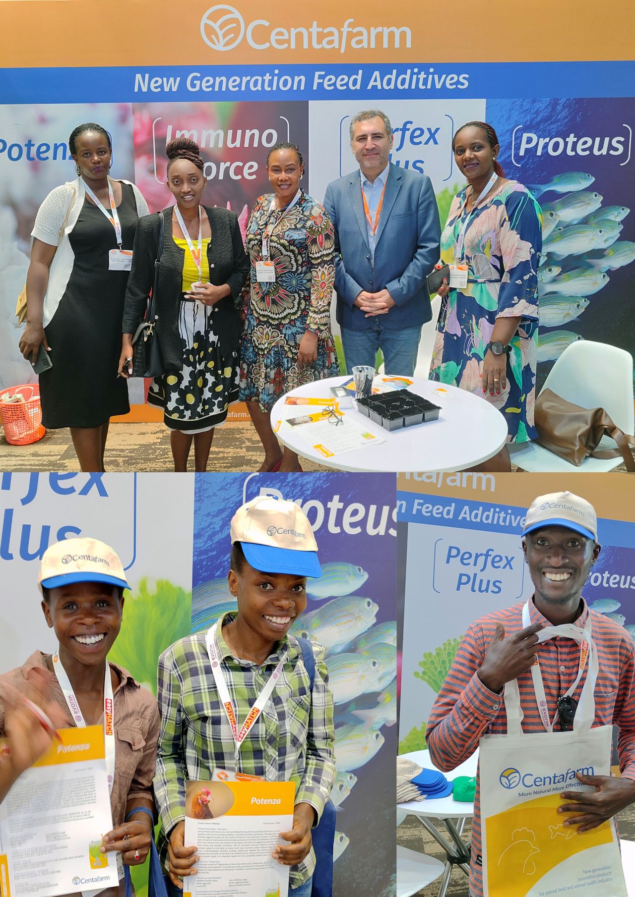 poultryafrica.jpeg